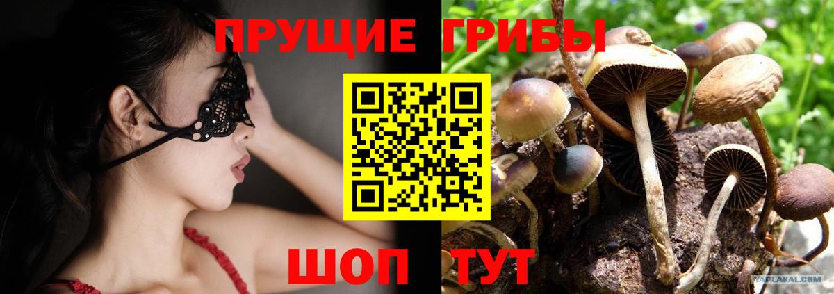 Энгельс  Псилоцибиновые грибы GOLDEN TEACHER  Вход с VPN  Галлюциногенные грибы Magic Shrooms 